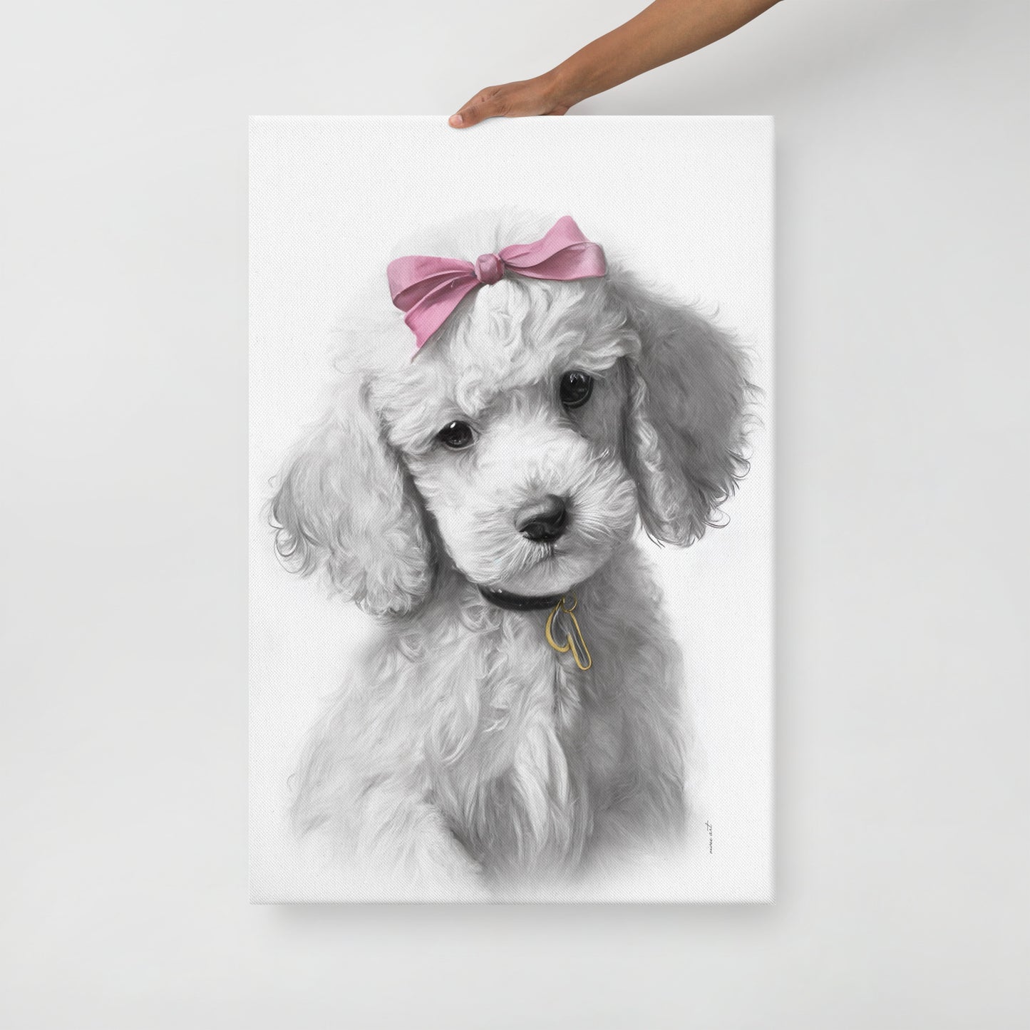 Poodle Puppy (Thin Canvas)