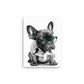 French Bulldog Puppy (Thin Canvas)