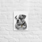 English Bulldog Puppy (Thin Canvas)
