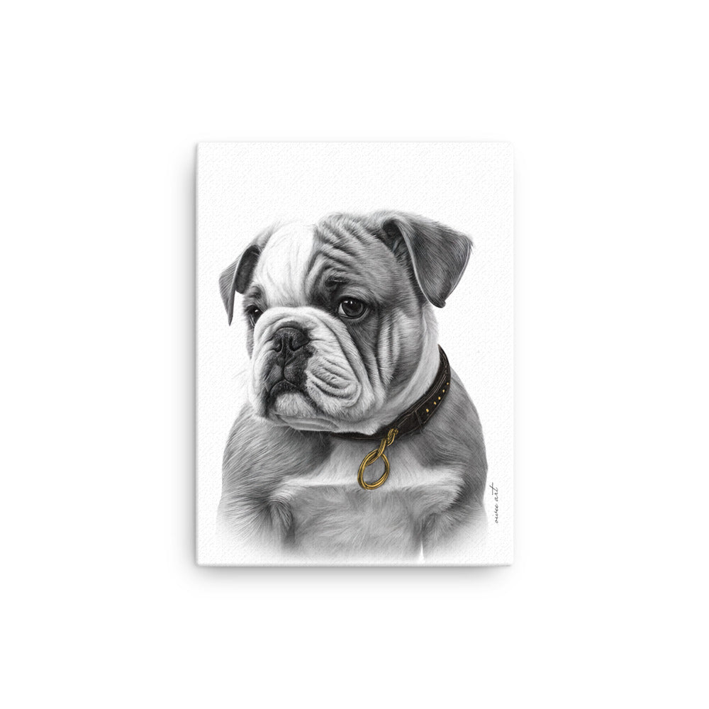 English Bulldog Puppy (Thin Canvas)