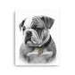 English Bulldog Puppy (Thin Canvas)
