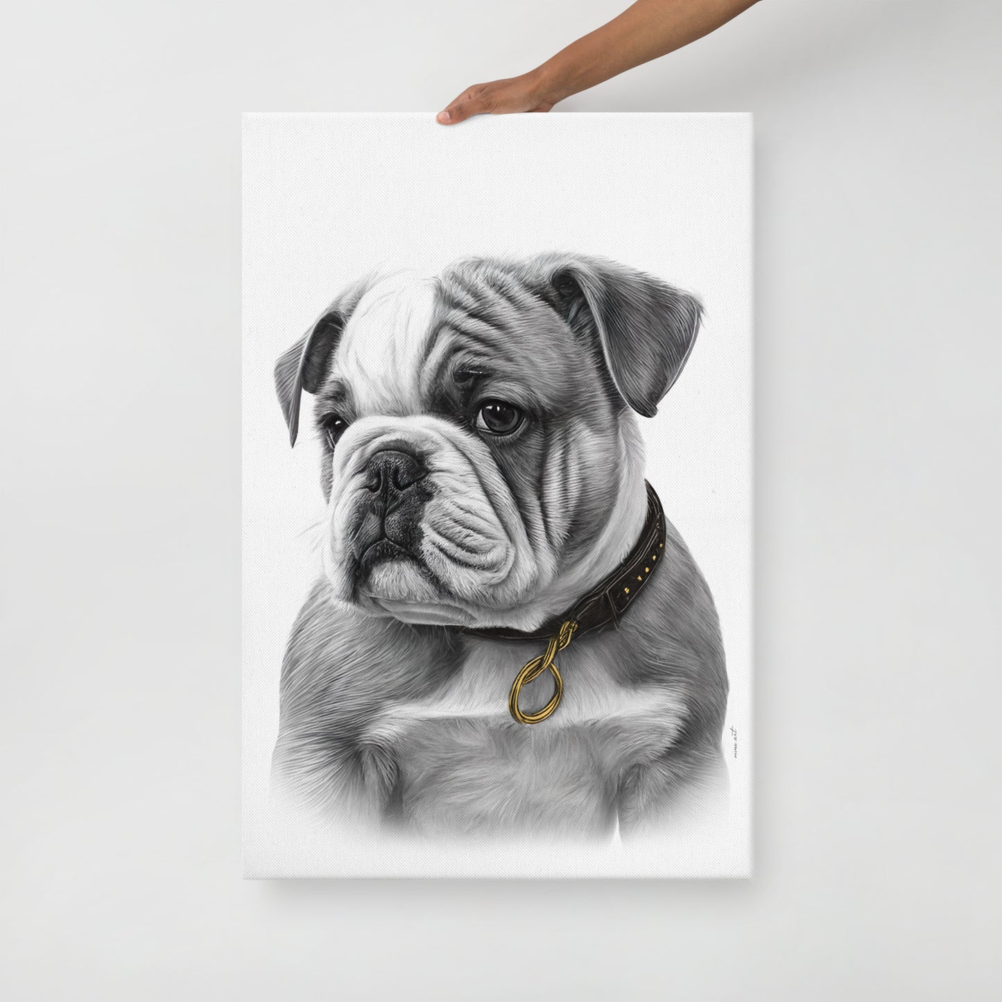 English Bulldog Puppy (Thin Canvas)