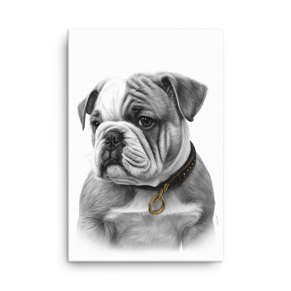 English Bulldog Puppy (Thin Canvas)