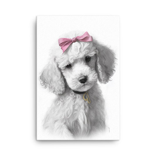 Poodle Puppy (Thin Canvas)